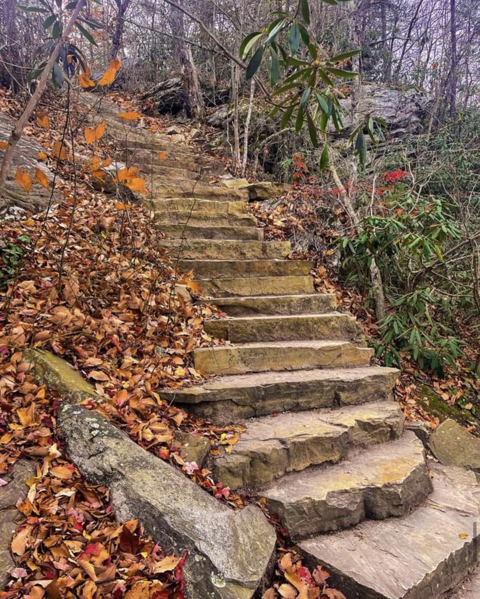 RandallMcCorquo's tweet photo. The #Staircase at #WindowFalls at #HangingRockStatePark in the #beautiful State of #NorthCarolina.  It was great going dow but going back up was something else. https://t.co/RytuvWXkik