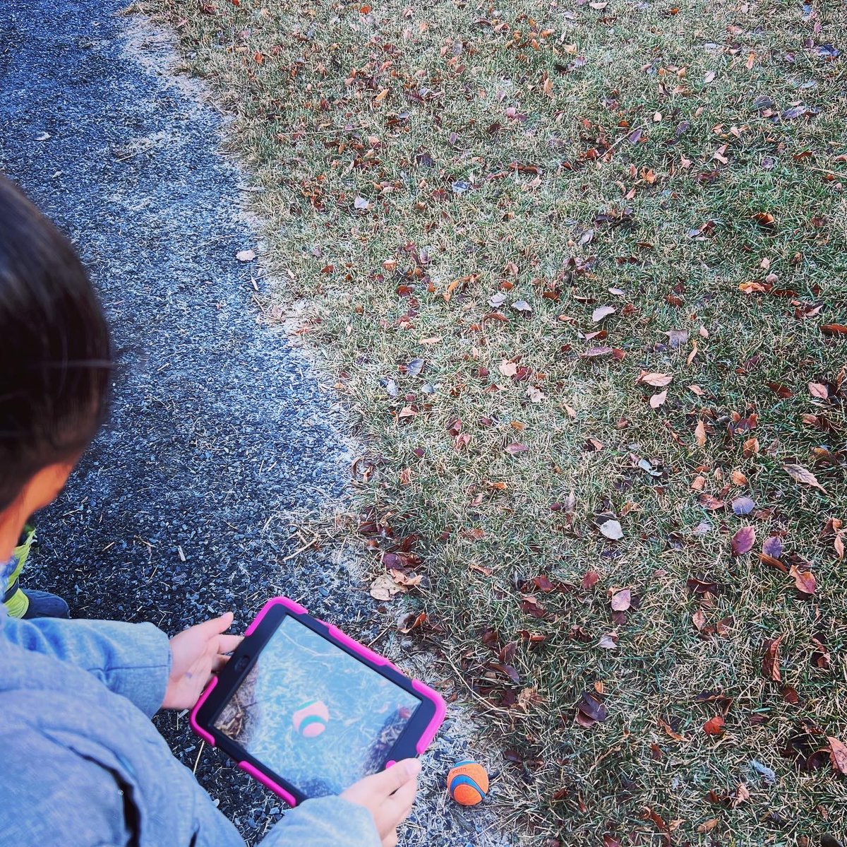 MrsQuilley's tweet photo. Using ABC Math in Nature #grade2 and #grade3 students explored #geometricshapes in #nature What shapes can you see in nature?#shapes #2dshapes #3dshapes #mathinnature #math #mathematics #mathteacher #childrensliterature #literature #mathliteracy #inquiry #outdoorlearning https://t.co/KqIrKjN7Qr