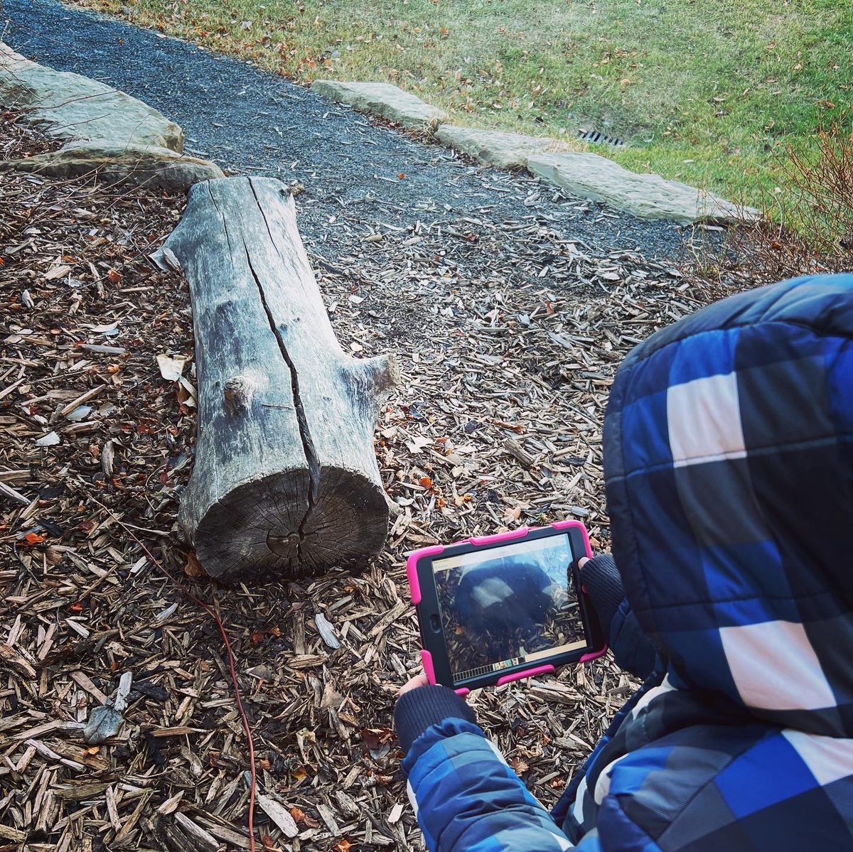 MrsQuilley's tweet photo. Using ABC Math in Nature #grade2 and #grade3 students explored #geometricshapes in #nature What shapes can you see in nature?#shapes #2dshapes #3dshapes #mathinnature #math #mathematics #mathteacher #childrensliterature #literature #mathliteracy #inquiry #outdoorlearning https://t.co/KqIrKjN7Qr