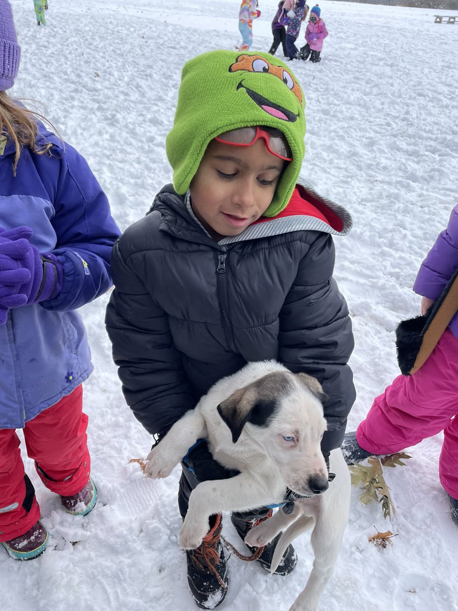 Hackettb's tweet photo. Dog sled mushing at RES was amazing! Thank you Cobble Hill Kennel for coming to our school! #resvt #VtEd #mmuusd https://t.co/e2ywAjXkDe