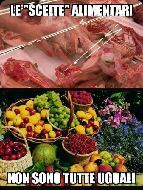 partigianovegan's tweet photo. Che tu sia onnivoro, vegetariano, flexitariano, prova a cambiare alimentazione eliminando ogni prodotto di origine animale. Provarci è un dovere verso il pianeta e gli animali. #cambiamenu #ClimateActionNow #GoVegan https://t.co/Zydh8vaSZw