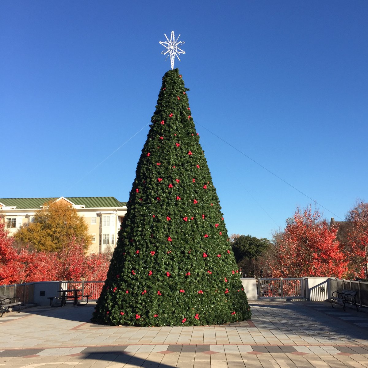 TOMORROW! 
🎄 Tree Lighting on the #DecaturGA Square • 7 pm
Above the east entrance of the Decatur MARTA station (Church Street side)
+Snow +Carols +Hot Cocoa + Santa Sighting
Sponsored by the Little Shop of Stories

bit.ly/3lpoQtE