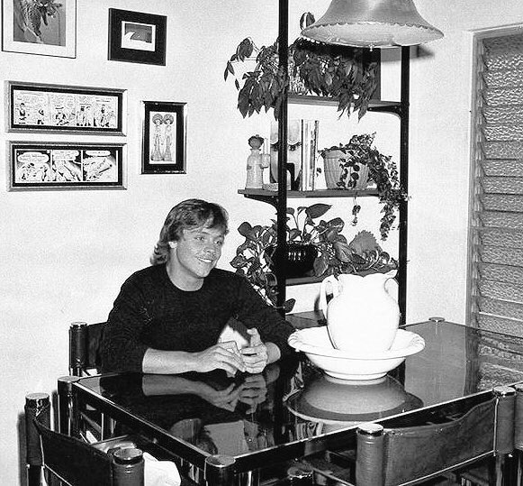 Mark in a place of someone, @HamillHimself
My other has a very similar basin as this one.
😁😉❤️