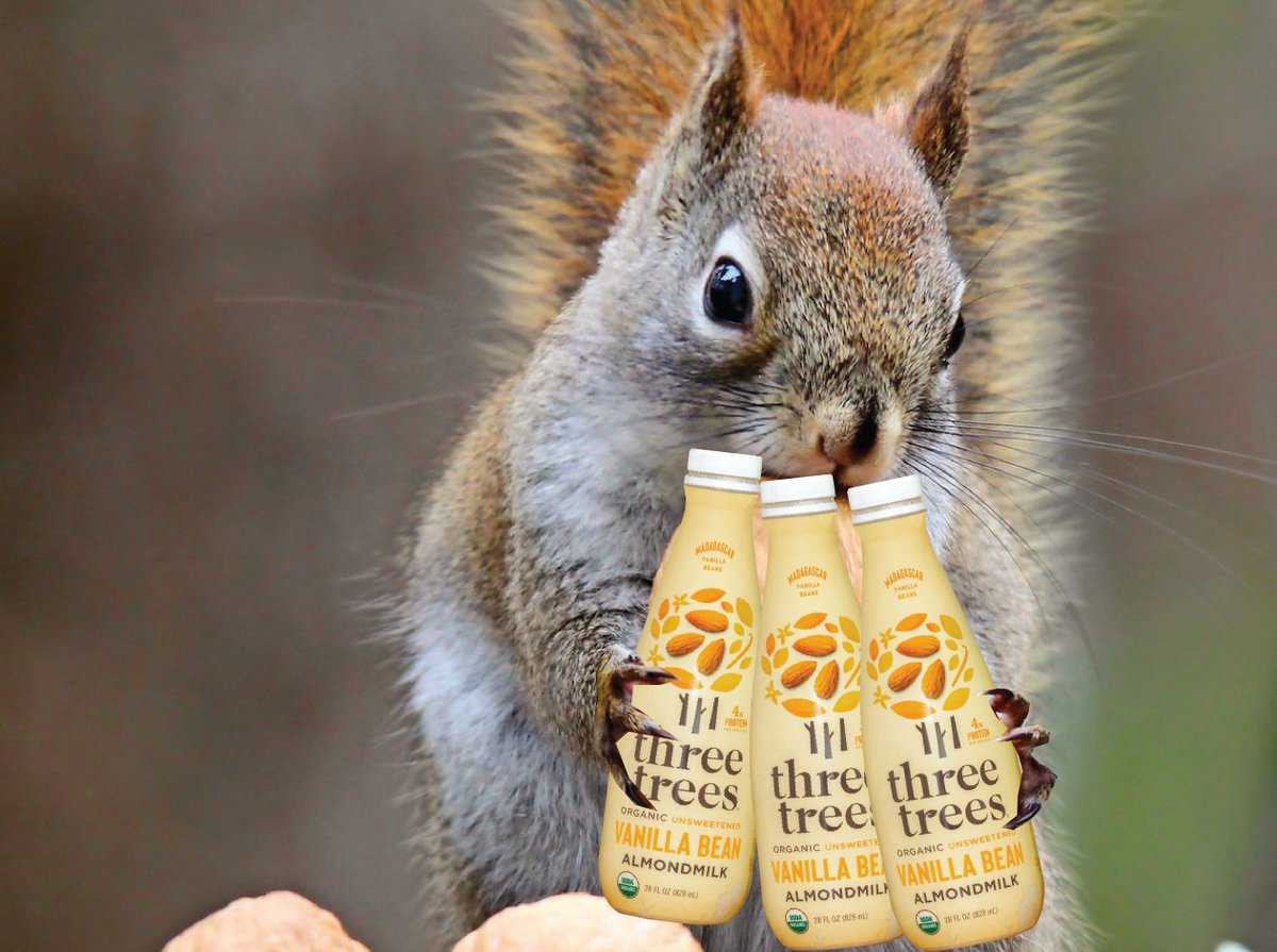 Three Trees tweet media