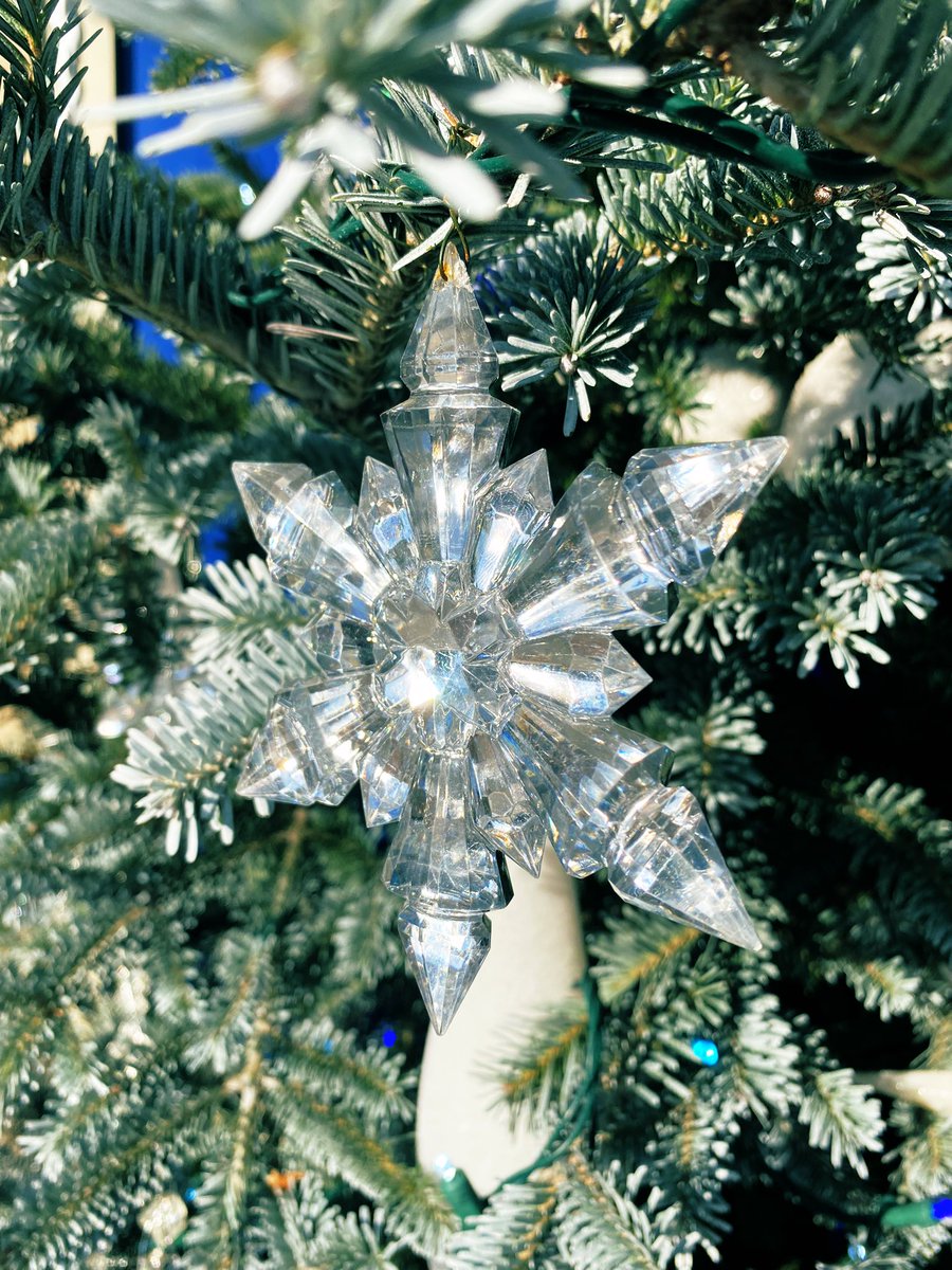 flyersgirl38's tweet image. Enjoying my usual food and beverage break at my happy place (@longwoodgardens) and what do they start playing? The @MichaelBuble Christmas album.
Yep. Happy place. #alongwoodchristmas #thecafe #holidaymoodactivated