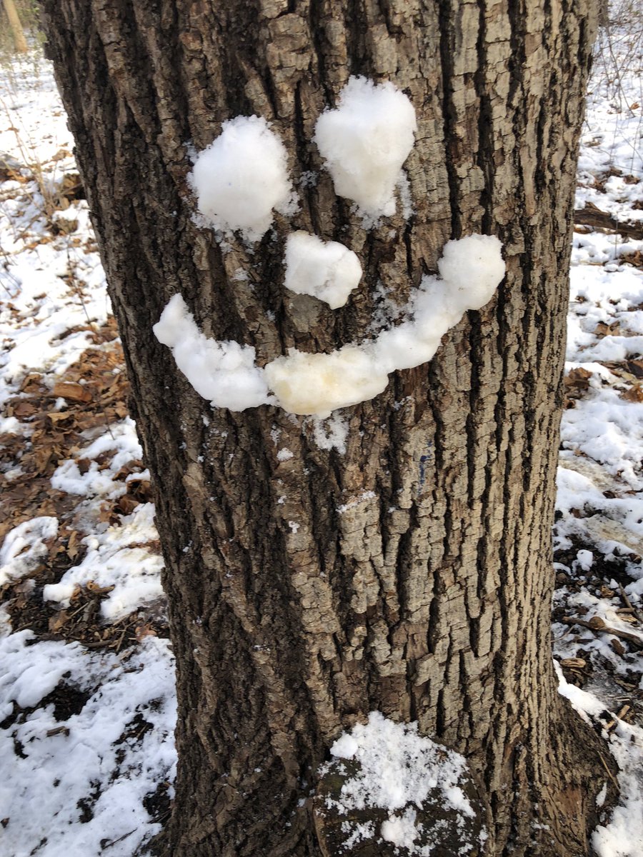 KForestLearning's tweet photo. How are you feeling today? Surprised? Happy? Sad? Mad? With @newsfromK124 https://t.co/bEklA8LM3y