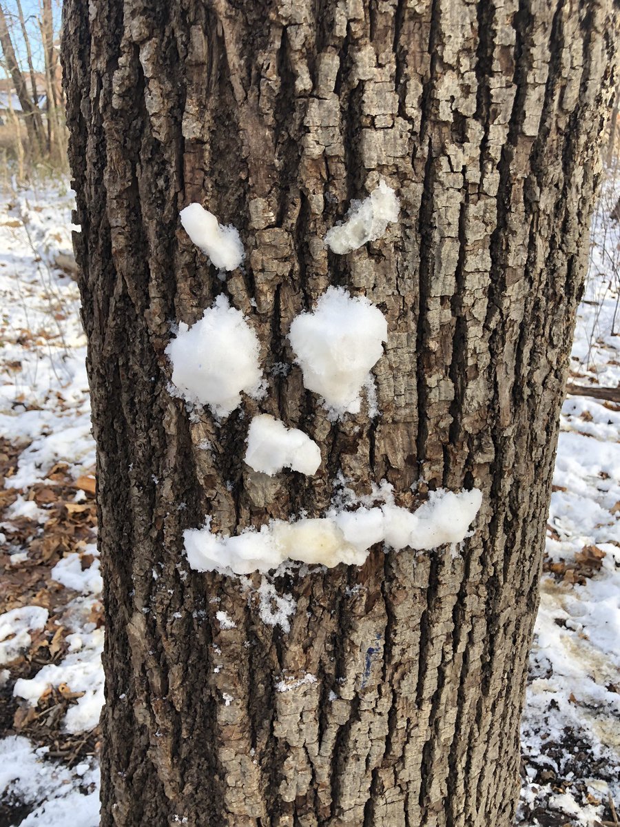 KForestLearning's tweet photo. How are you feeling today? Surprised? Happy? Sad? Mad? With @newsfromK124 https://t.co/bEklA8LM3y