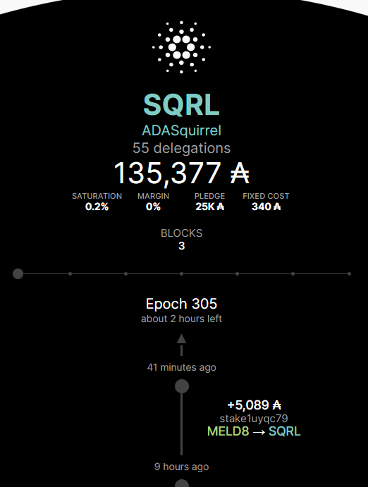 cuteadasquirrel's tweet image. #cardano #CadanoADA #Crypto #cryptocommunity #StakingRewards 
@AdaSquirrel STAKE POOL [SQRL]

Welcome to squirrel family !!!

Thanks for supporting small pool, and care about #Decentralization 🐿️😍