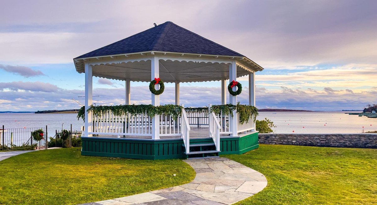 Suzy The Explorer tweet media