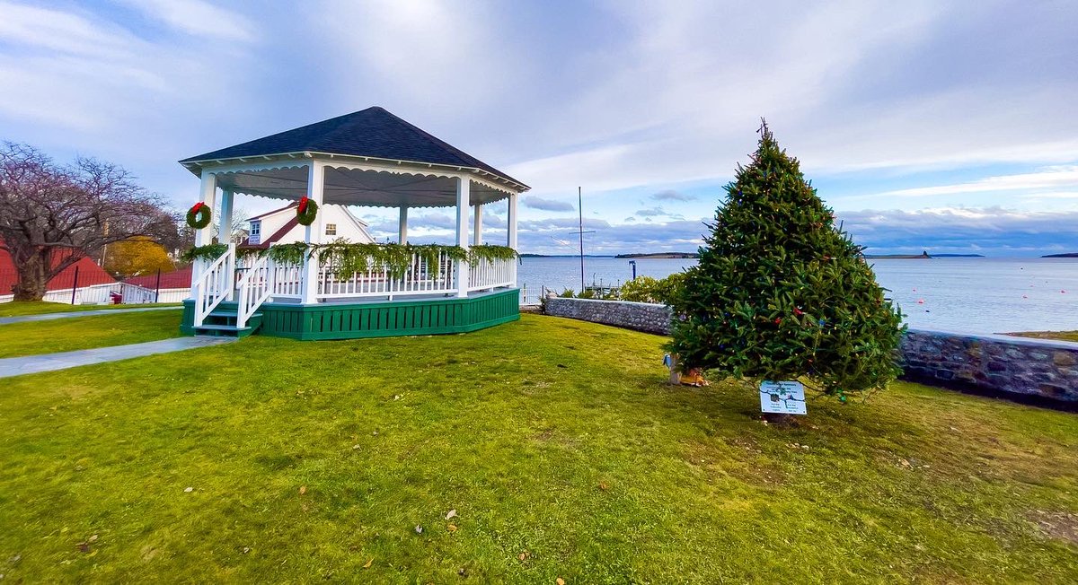 Suzy The Explorer tweet media