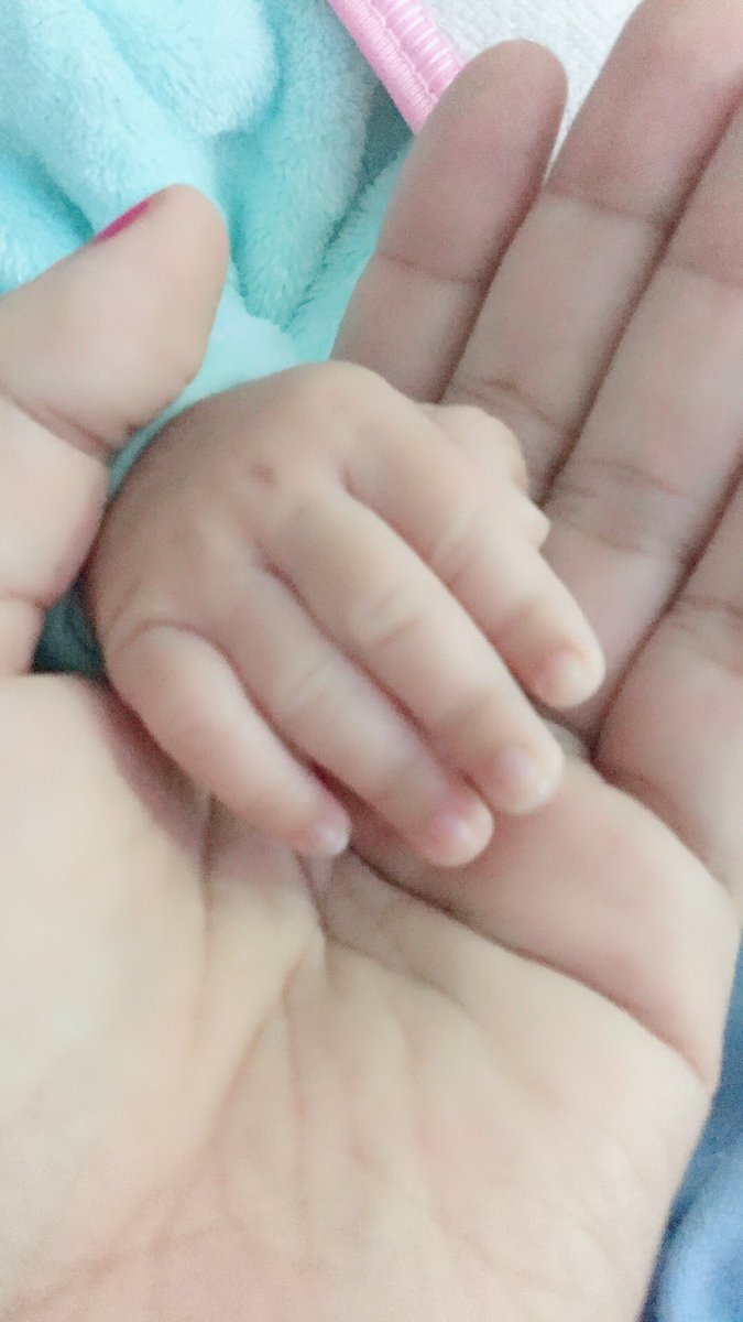 Dr N00R👑 tweet media