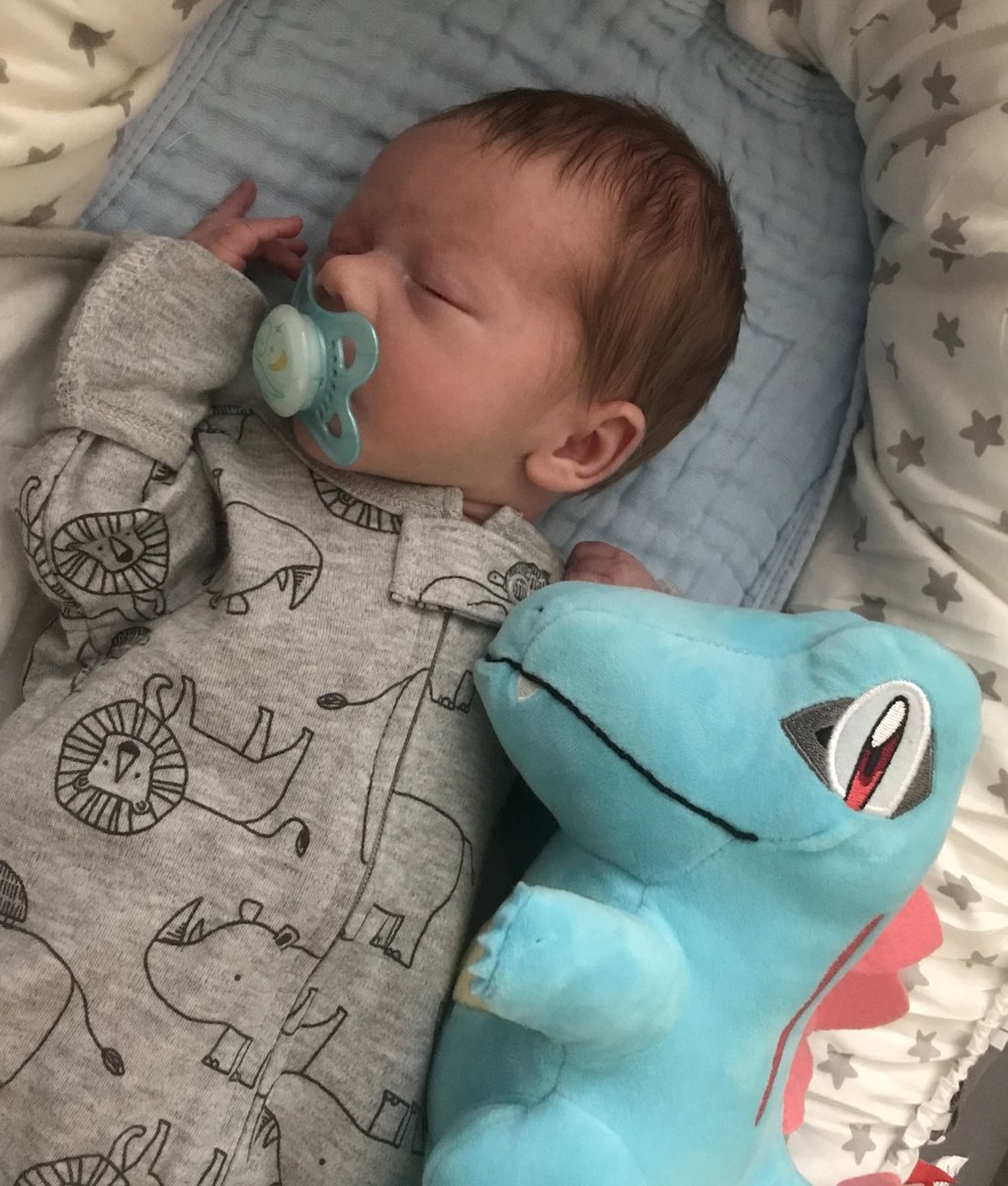 CrocodaleDay's tweet photo. Draco received his starter Pokémon today! 👶🐊 https://t.co/xaSe6pvjLB