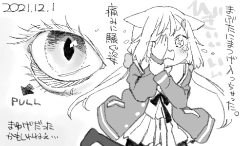 しばらくすると目の淵に移動していたので取れました 