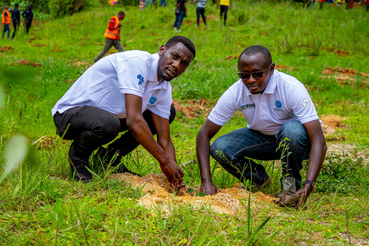 MiningschoolRw's tweet photo. Abayobozi munzego zitandukanye bari bateraniye kucyirombe cya DEMICO @Kamonyi  bakoze igikorwa cy'umuganda ahatewe ibiti by'imigano ku inkombe z'umugezi  hanaterwa ibindi biti byose hamwe bigera 1700. Hasibuwe kandi umugezi murwego rwo kurushaho kwita ku mazi. #MiningweekRw https://t.co/GjEIJea8Jk