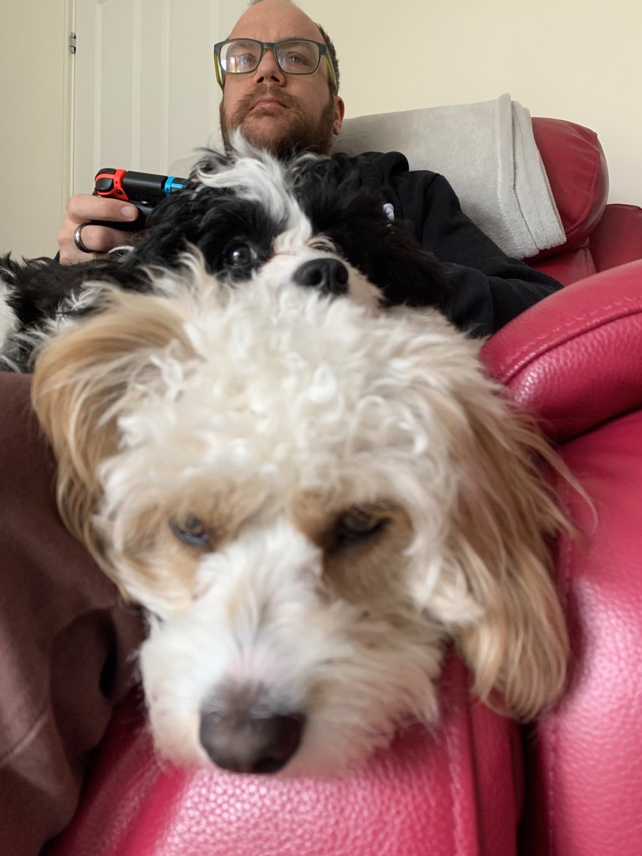 LadyForestPink's tweet photo. β¦@Beardo7β© #gaminglife #cavapoolife https://t.co/XDxACeAjFS