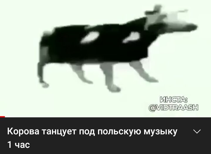 Польская корова - польская корова. Польская корова текст на русском. Корова танцует. Корова на роликах. Корова танцует.