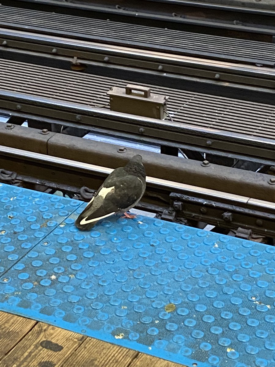 MannyRH's tweet photo. Saw this while waiting for the train today @Nike https://t.co/CmQZnxz8mk