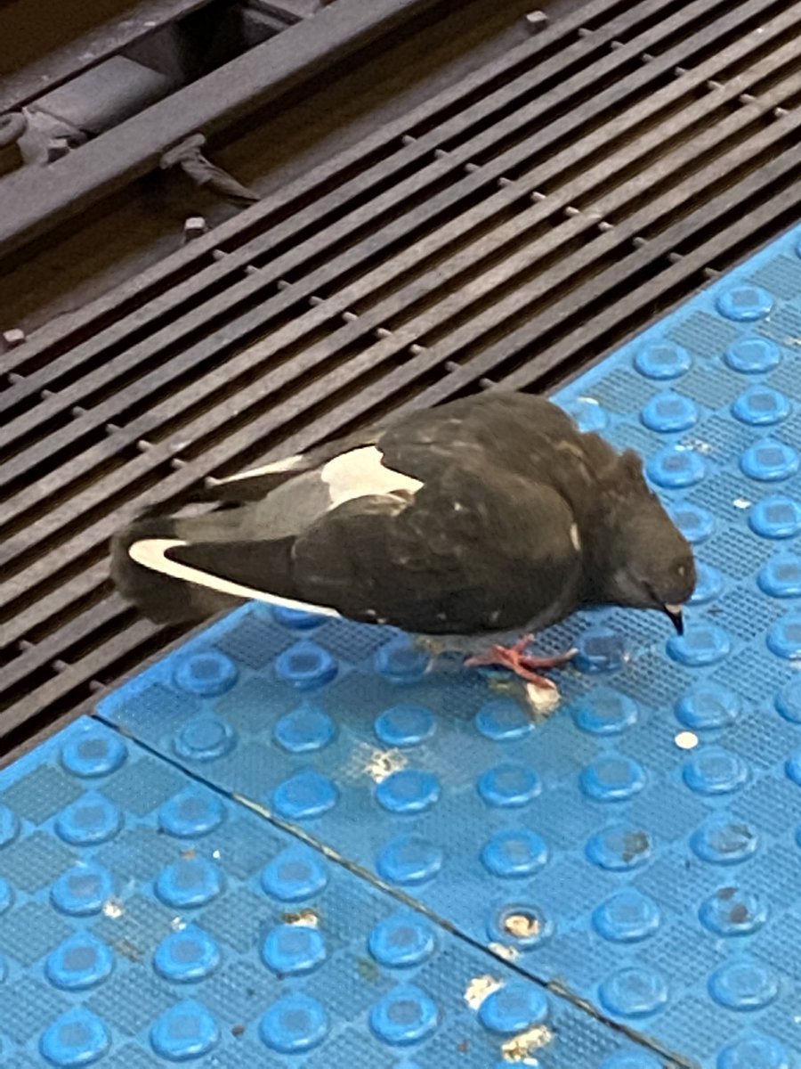 MannyRH's tweet photo. Saw this while waiting for the train today @Nike https://t.co/CmQZnxz8mk