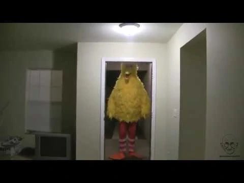 Comicsands_'s tweet photo. can’t wait to go home for the holidays just to have my brother stand in my doorway like this https://t.co/86a3nbBI1M