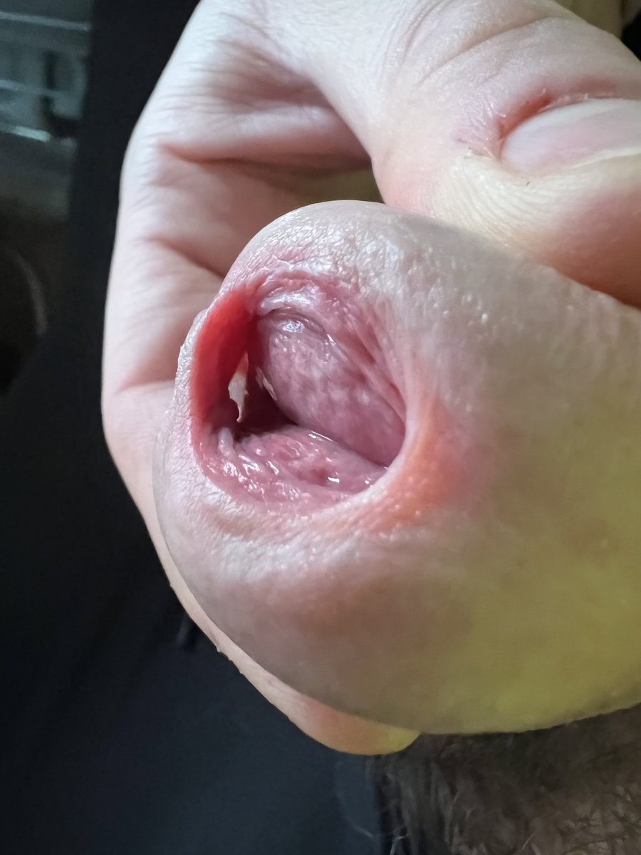 HardTankSeattle 🐖 30K tweet media