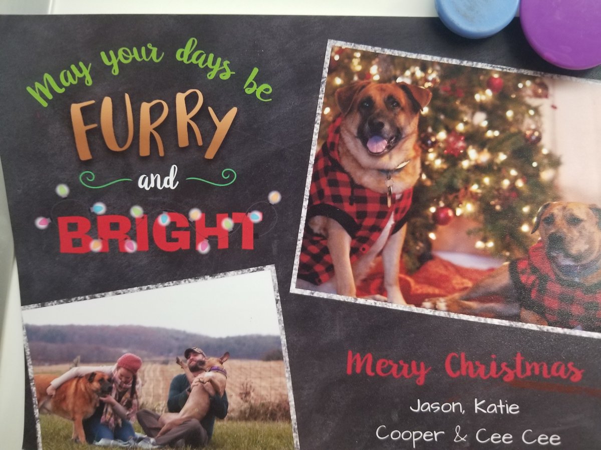 Katie Thomas tweet media