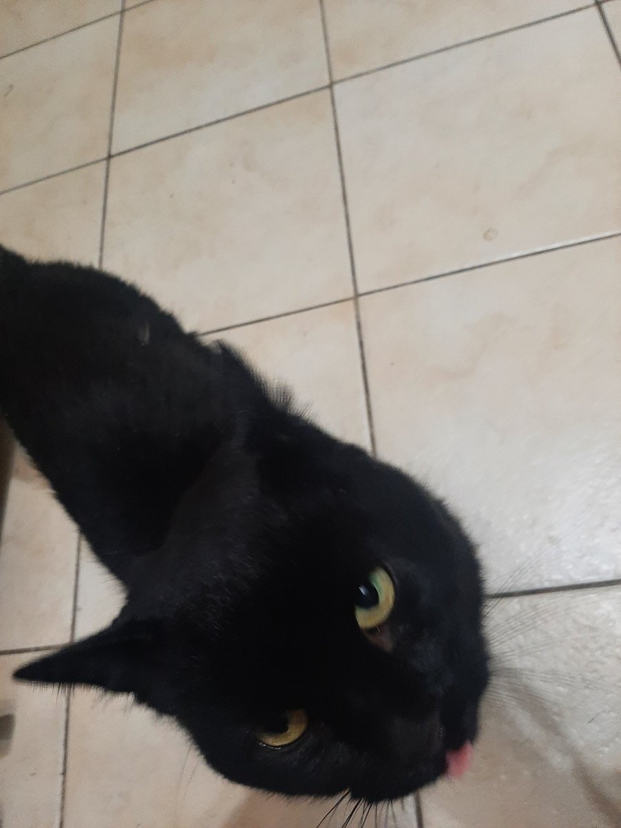 Awkward Witness tweet media