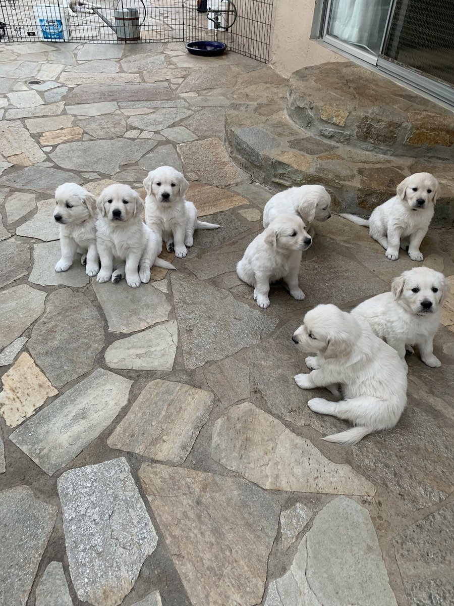 Twas a fun trip home to see my babies