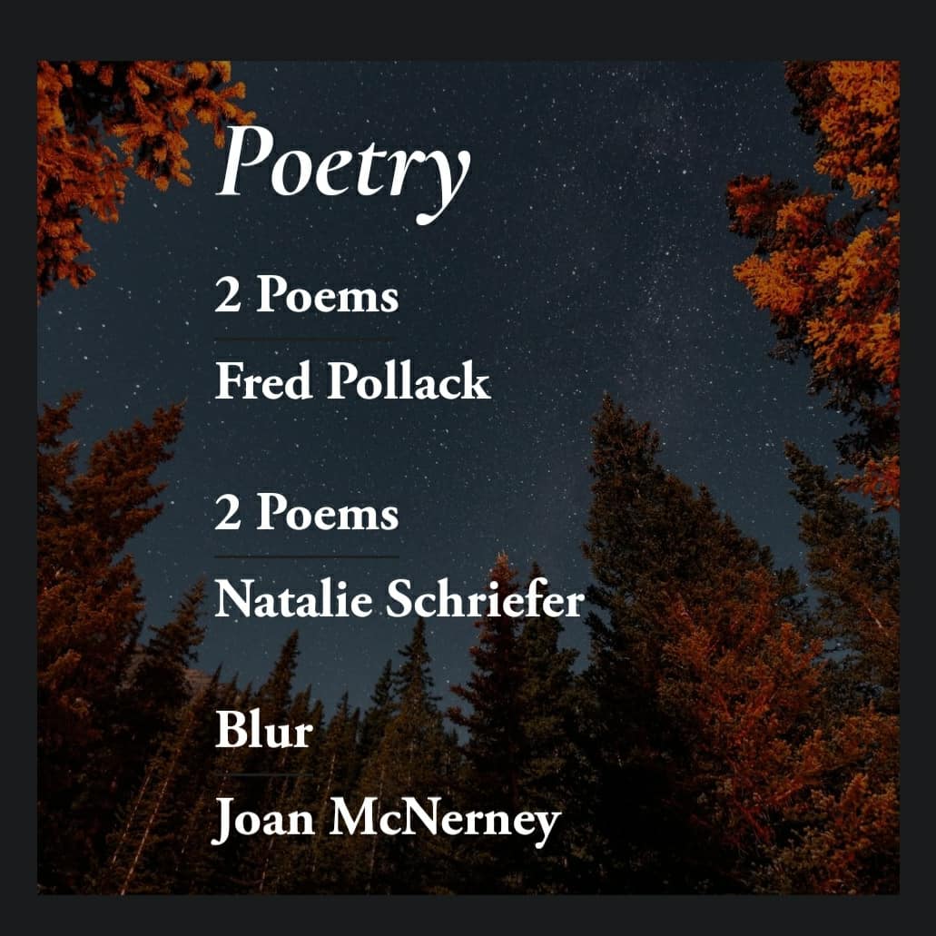 Natalie Schriefer tweet media