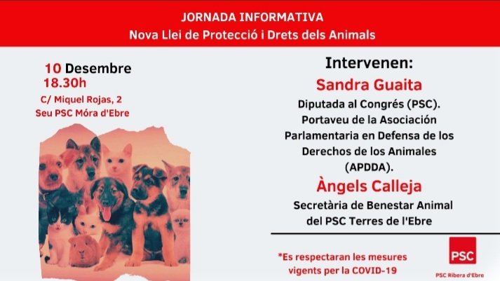 Seguim avançant en la protecció i drets dels animals
#noalabandonoanimal #noalmaltractamentanimal