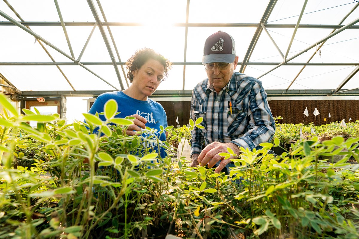 txextension's tweet photo. For over 100 years, #AgriLifeExtension has strived to serve all Texans. Our experts, staff and agents across Texas carry out our land-grant mission and provide #innovativesolutions. 

With offices in 250 counties, we strive to embody the spirit of giving and growing! #LetItGrowTx https://t.co/ZvQvf97YCI