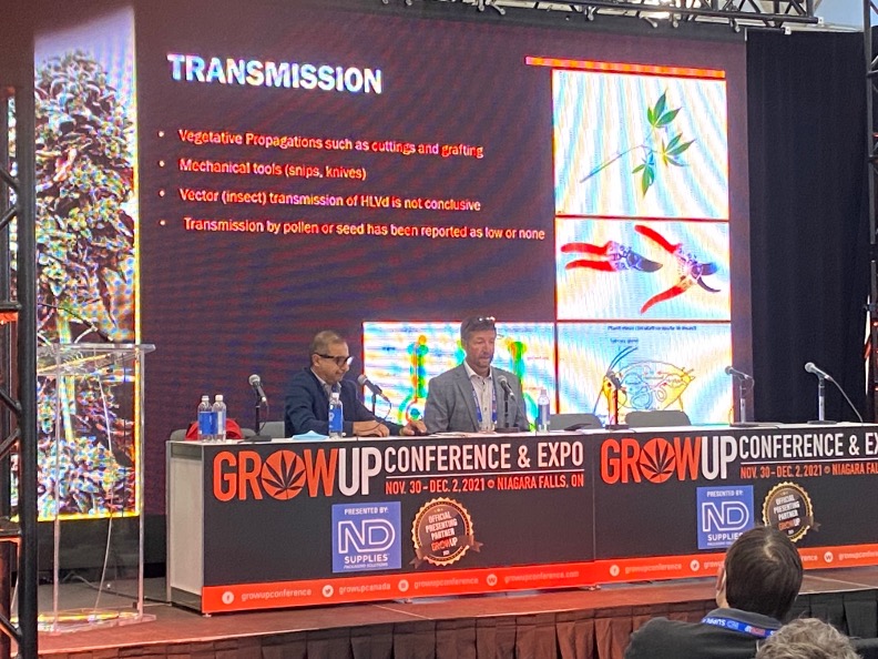 ALCannabisLabs's tweet photo. #GrowUp21 Hop Latent Viroid discussion with @BrianCoutts

#HLVd is a very serious &amp; costly issue causing stunting, malformation or chlorosis of leaves, brittle stems, + reduction in yield &amp; THC content

🧪A&amp;L provides HLVd #cannabistesting with 3 day TAT

https://t.co/fPVcrSXa37 https://t.co/nw5AVWCasR