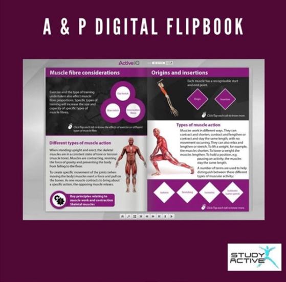 study_active's tweet photo. Did You Know: A fantastic addition to our digital resources is the A&P digital flip book. This amazing resource, developed by @Active__IQ, provides our students with a detailed and quick-access anatomical revision tool.
#PersonalTrainerCourse #StudyActiveStudent https://t.co/3BaooclGFF