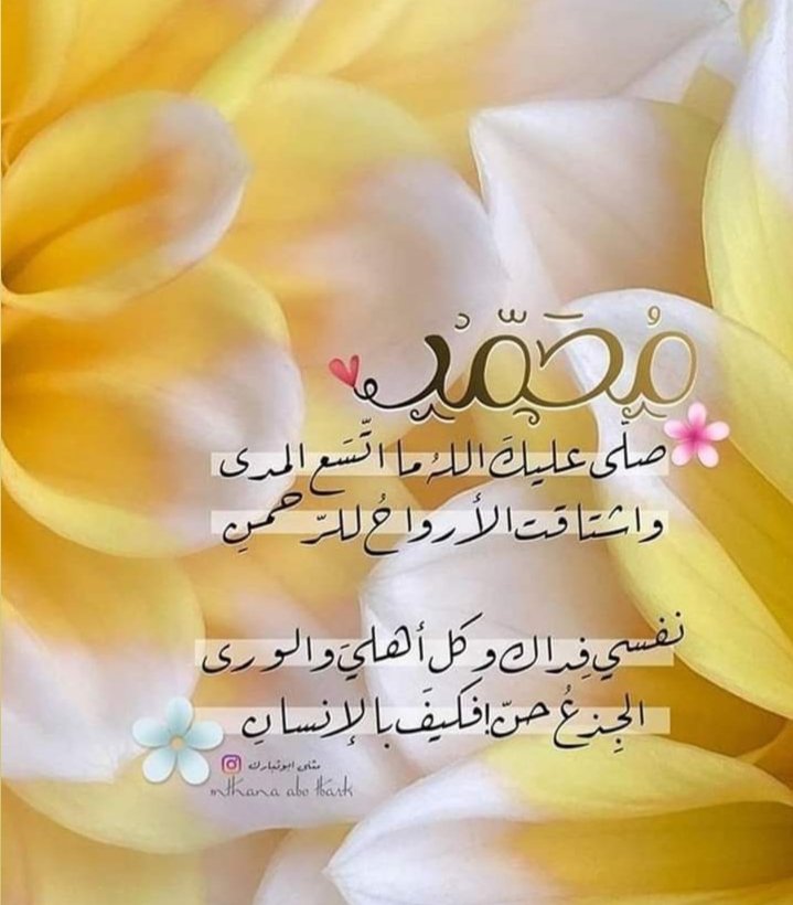 <a href="/mhkaltaiy209934/">@Mhk Altaiy</a> يا غاديا نحو الحبيب عساكا 
  تتلو السلام إذا وصلت هناكــــــا

وقل السلام عليك ياخير الورى 
   من عاشق طول المدى يهواكا

يا سيد السادات جئتك قاصدا 
   أرجو رضاك و أحتمي بحماكا

والله يا خير الخلائق إن لي 
   قلبا مشوقا لا يروم سواكا

اللهم صل على محمد وآل محمد