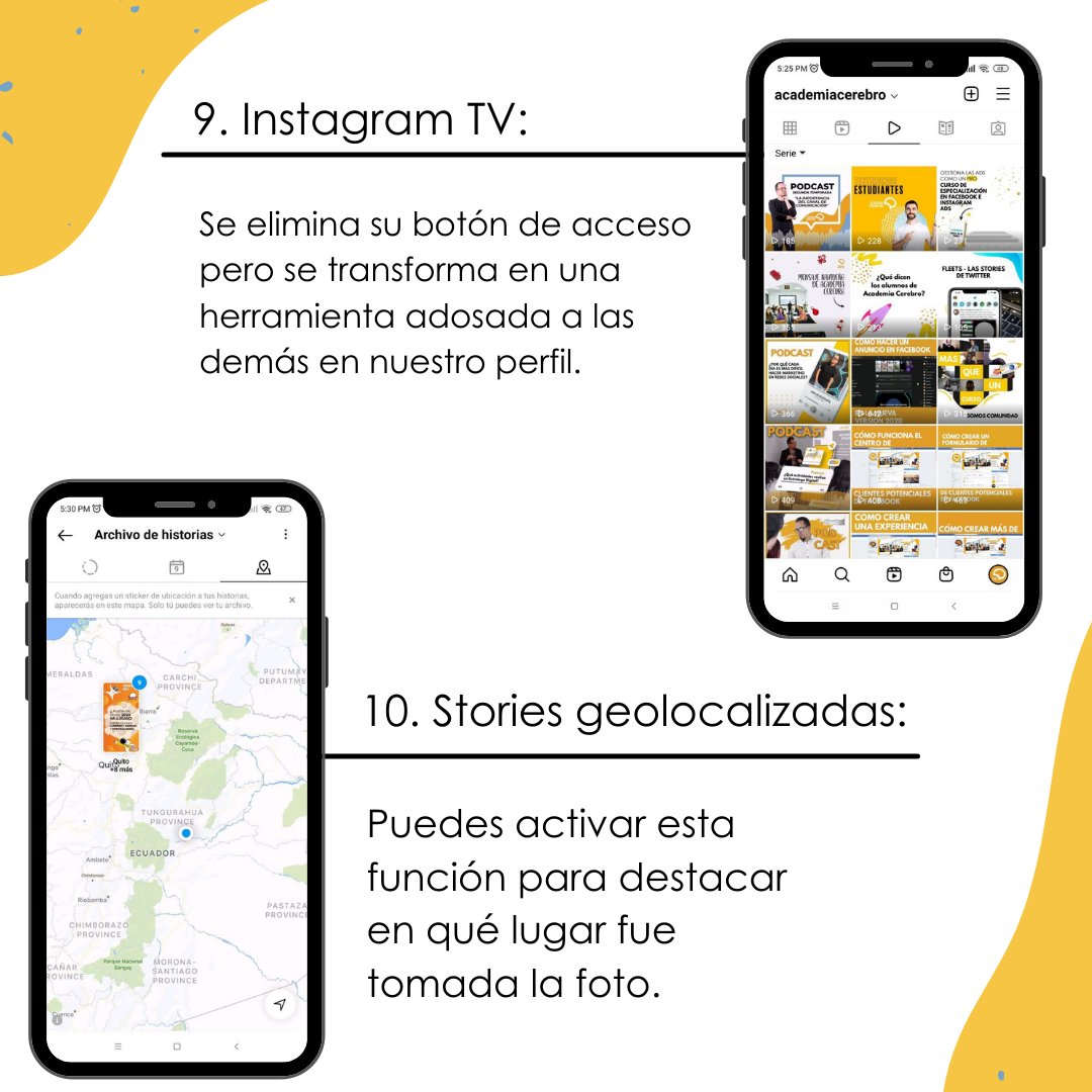 Academia Cerebro tweet media