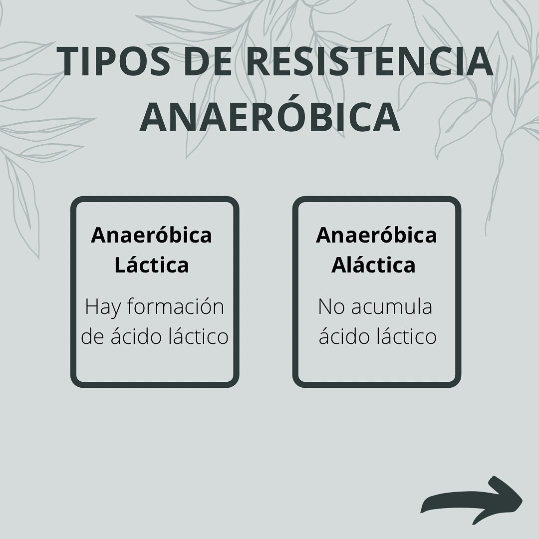 EducacioF's tweet photo. Ahora que ya sabéis que es la resistencia aeróbica, si deslizas encontrarás que es la resistencia anaeróbica, que tipos hay, sus beneficios y algunos ejercicios para poder ejercitarla. Desliza! ➡️➡️ https://t.co/21pZywpA0M