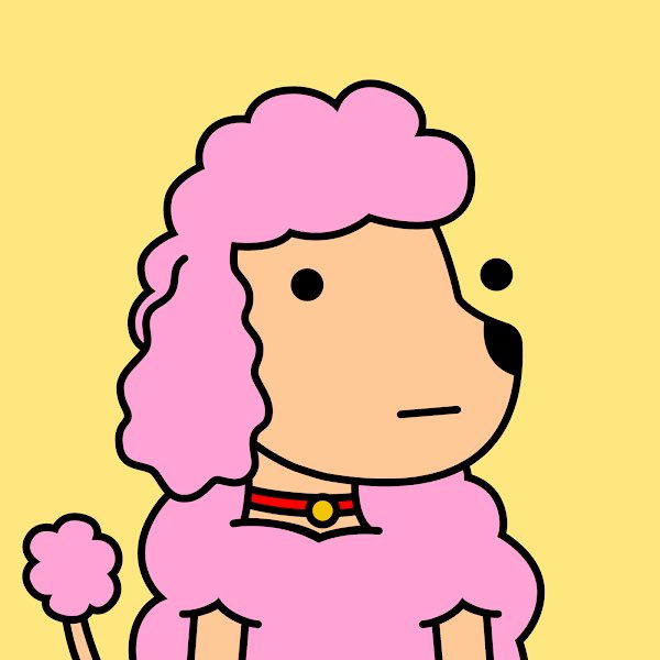Doodle Poodles 🌈🐩 tweet media