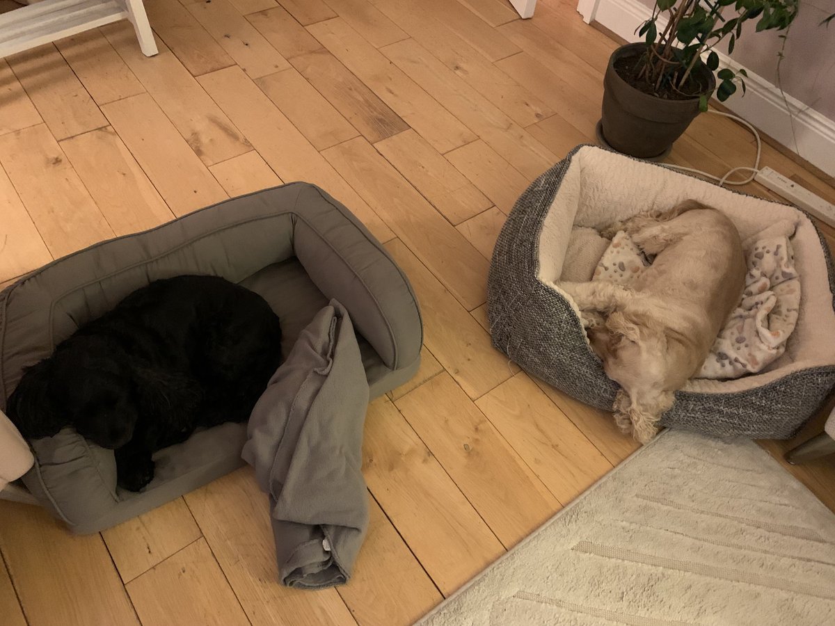 ByrneCocker's tweet photo. What IS your problem mum? We walk around you ALL THE TIME #loadsofspace https://t.co/kWurdl8eZN