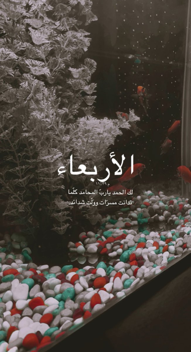 Bea5lagiA's tweet photo. الأربعاء ١٤٤٣/٤/٢٦هـ🥺💖💖

أكثر نعمة سأظل ممتنه لها في حياتي هي الحب الخاص الذي حصلت عليه من عائلتي، هذا الحب صنعني وأنقذني وكفاني وغمرني."🤍 https://t.co/9aMKvGnQkO