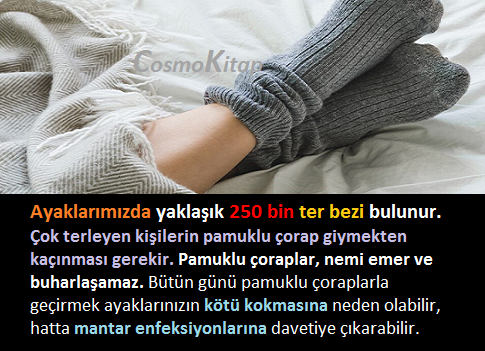 cosmokitap's tweet photo. #Ayakteri #terbezi #pamuklu #çorap https://t.co/O1gBTaFtzf