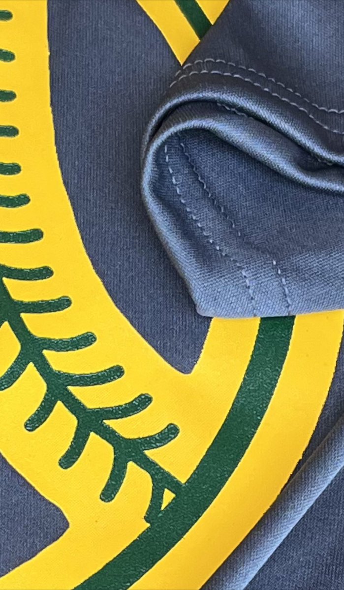 🎶It’s beginning to look a lot like ✨softball✨🎶 #LadyBucs #KeepMovingForward