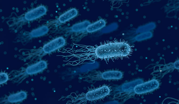 4Ench300's tweet photo. Tune in on 6th of December, to watch how #biochemicalengineering has created solutions for life’s most important problems. Watch as cool #bacteria digest #oilaggregate, while we also discuss #biotherapeutic potentials like #genetherapy. Don't miss this opportunity! @DrC_at_UMBC https://t.co/0iTPN4tM6v