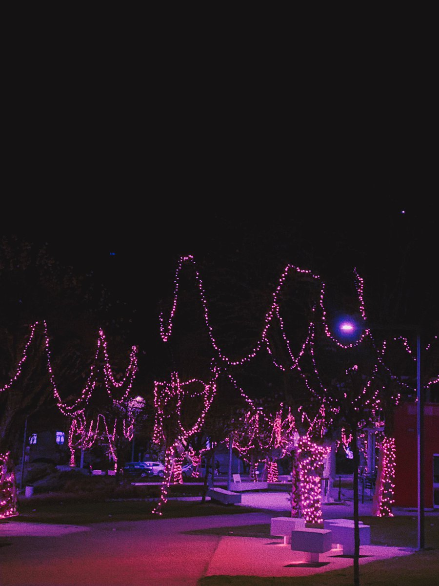lights ✨