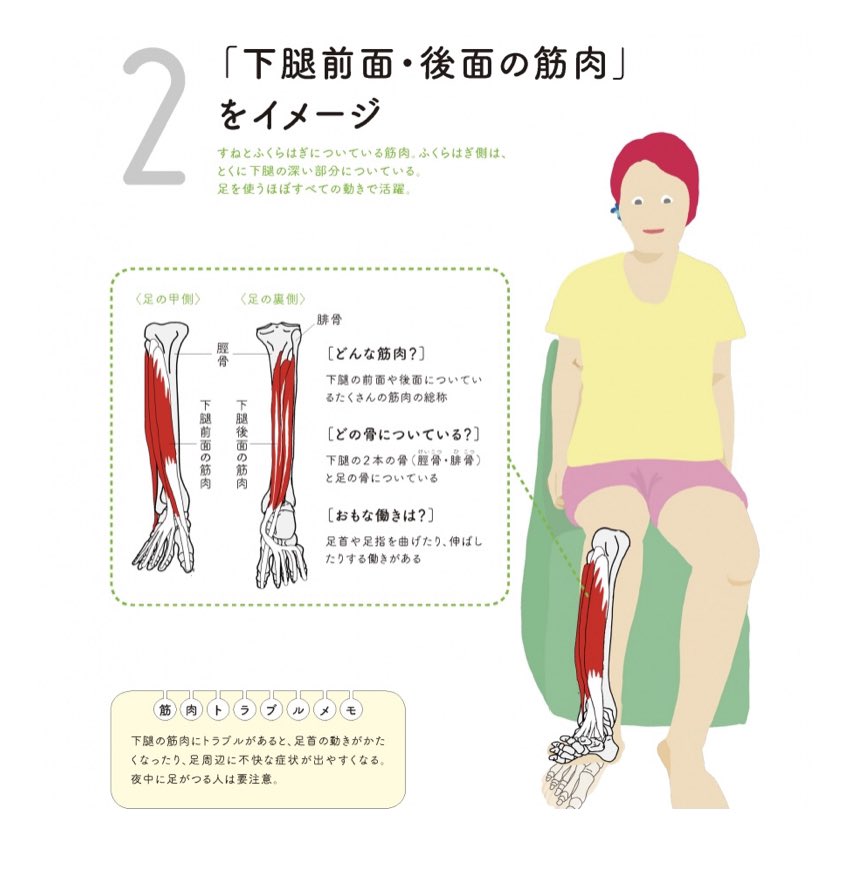 世界一ゆる い解剖学 解剖学コンディショニング 足首が硬いときは かたい部分を柔らかくすると動きやすくなります この時 骨や関節 筋肉のしくみに沿ってアプローチすると 怪我をしにくく 安全で効率的なアプローチがしやすいです 引用本 解剖