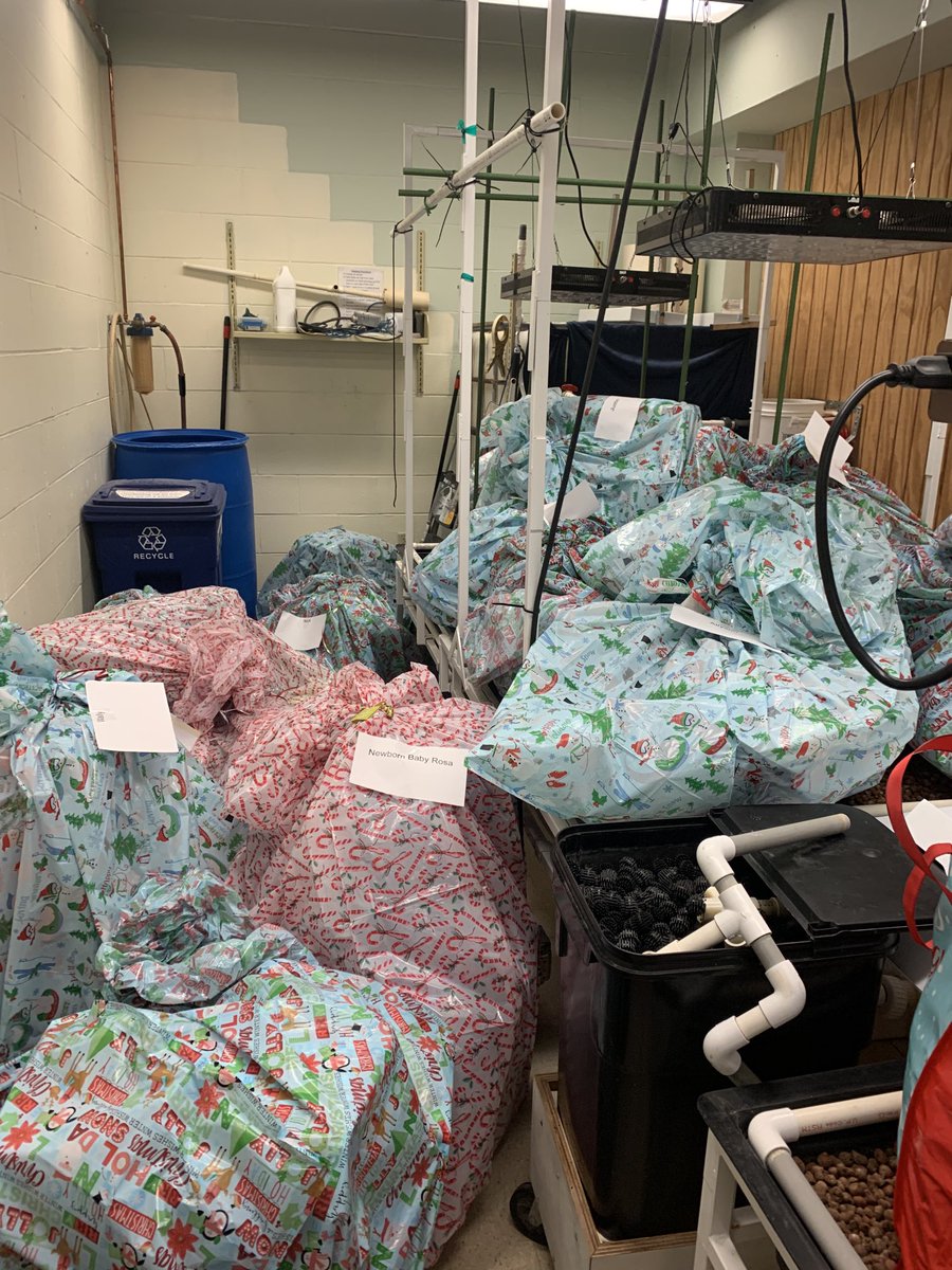 JillMacGraham's tweet photo. It’s beginning to look a lot like Christmas!! Thanks to everyone from BPS who very generously donated presents for #ChristmasintheCity and #AbbysElves!! https://t.co/IopIy3Lk91