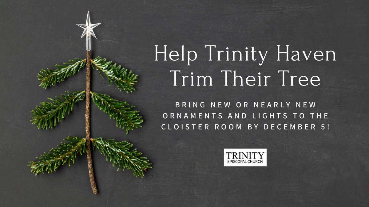 This will be a first Christmas for the residents of <a href="/TrinityHavenIN/">@TrinityHavenIndy</a>, Indiana’s first dedicated residence for LGBTQ+ young adults facing homelessness. Trinity can help them with decorations for  their Christmas tree!