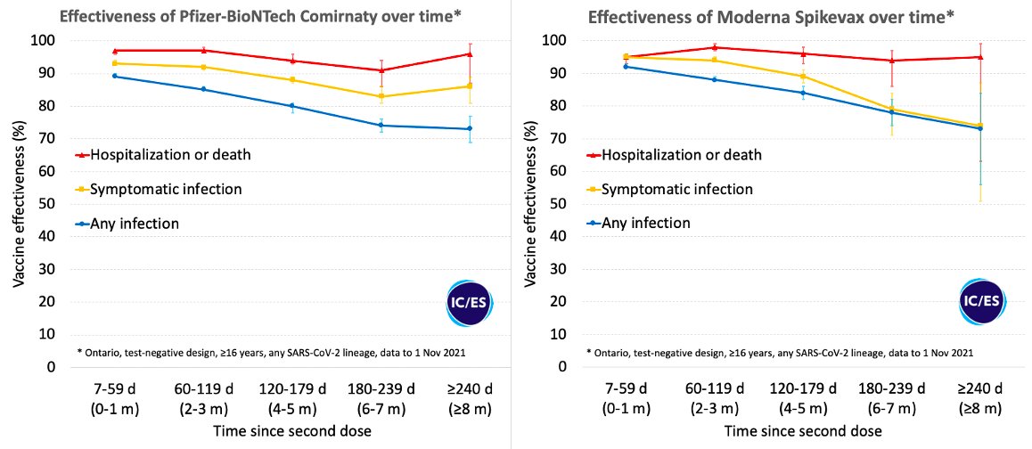 Isaac Bogoch tweet media