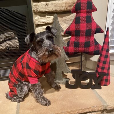 Bailey_Rules's tweet photo. #NewProfilePic https://t.co/iPXbC5ZutT