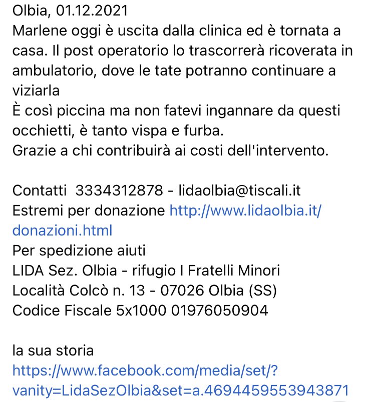 LidaSezOlbia's tweet image. #Marlene il #postoperatorio lo trascorrerà ricoverata in ambulatorio, dove le tate potranno continuare a viziarla.
Grazie a chi contribuirà ai costi dell'intervento.
lidaolbia.it/donazioni.html
LIDA Sez. Olbia
Località Colcò n. 13 - 07026 Olbia (SS)
facebook.com/media/set/?van…