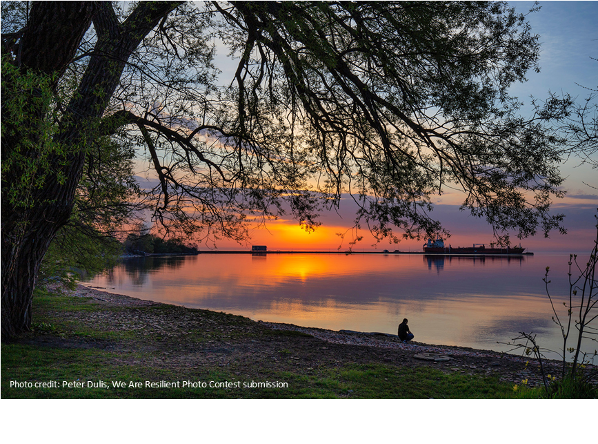 We’re taking real steps towards fighting #climatechange. Check out the progress we’re making towards a greener future in our update report. 

✔️ Lower GHG emissions 
✔️ Greening our transit fleet 
✔️ Reducing our carbon

Learn more: ow.ly/IuVe50H1qoJ

<a href="/MiLivingGreen/">Mississauga Green</a>