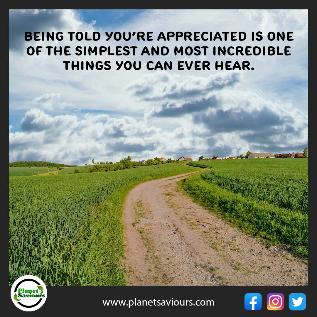 Being told you're appreciated is one of the simplest and most incredible things you can ever hear.

Source: 📸 by Planet Saviours

#planetsaviours #nature #mentalhealth #environment #appreciated #simplest #incredible #ever #hear